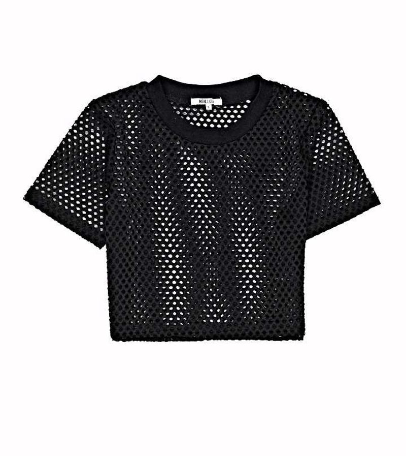 Net Crop Top