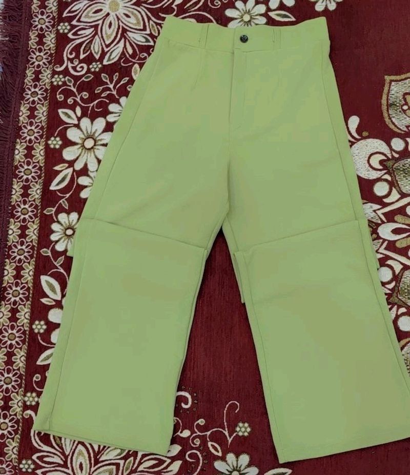 Regular Fit Green Trousers