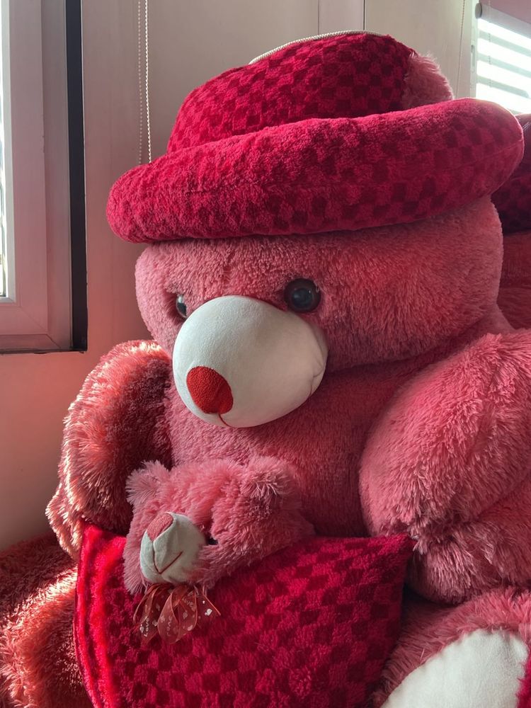 Cute Aestheitc Pink Teddy Bear!