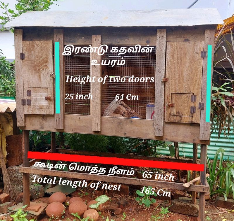 2 In 1 Bird Nest இரண்டு குருவிக்கூடுகள்