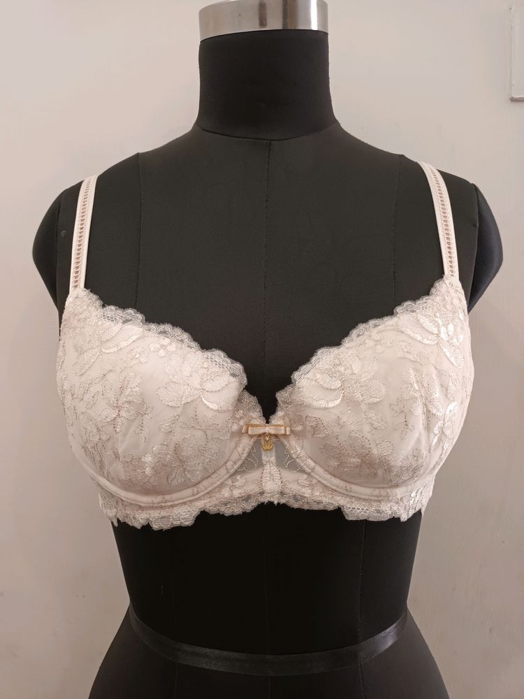 Light Pad Designer Bra