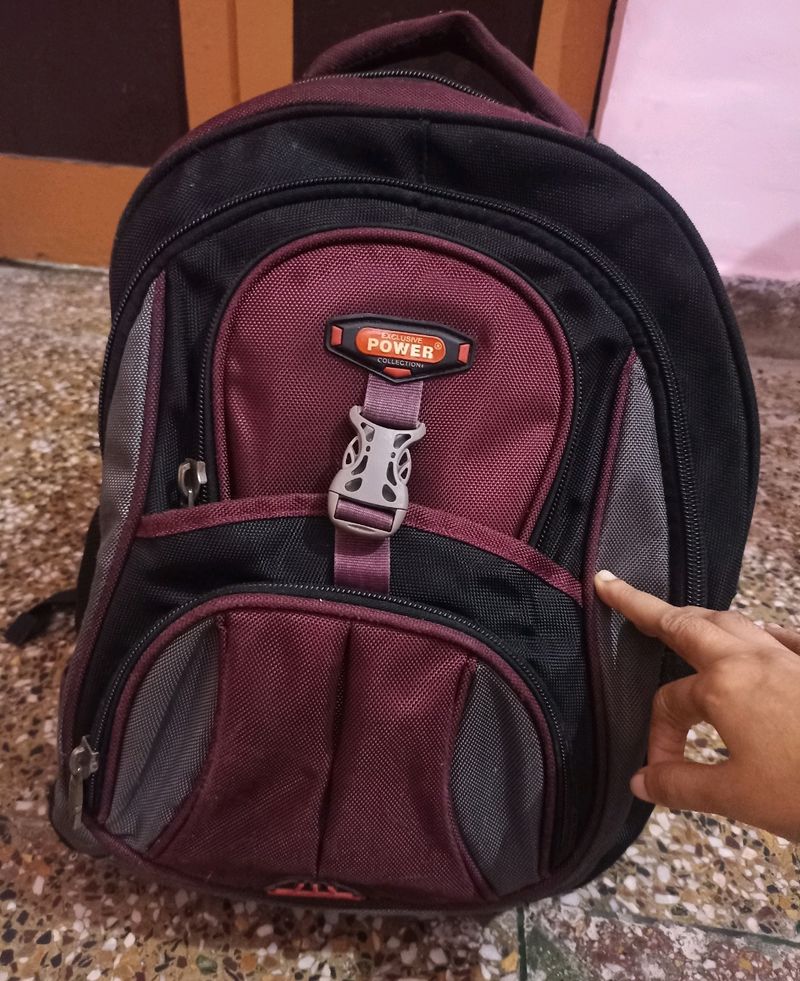 Traveling Back And Laptop Backpack No Damaged