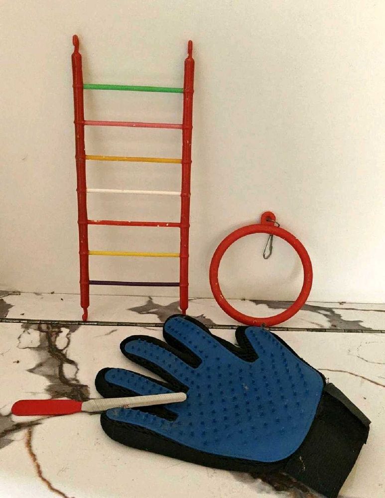 Cat Glove And Nail filar ,, Budgies Caze Toys