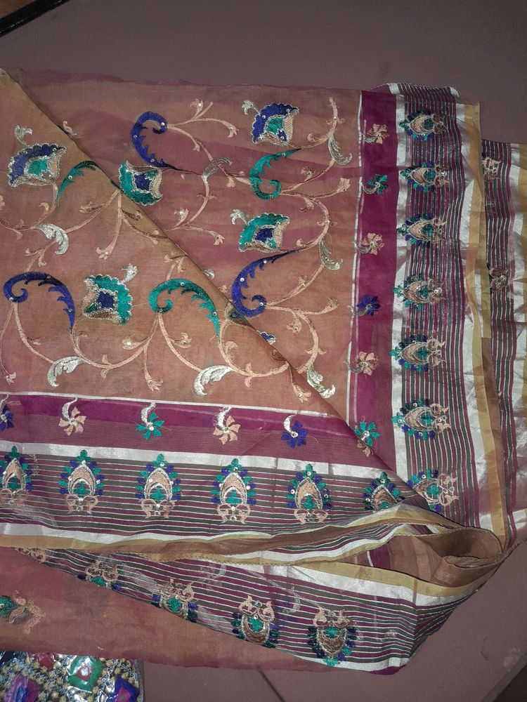 Tissue Havvy Work Saree