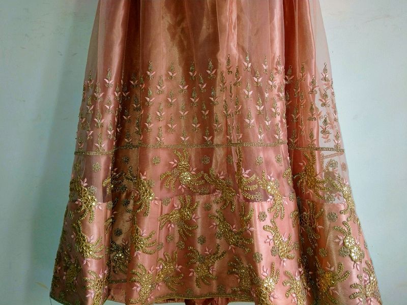 Soft Peach And Gold Lehenga