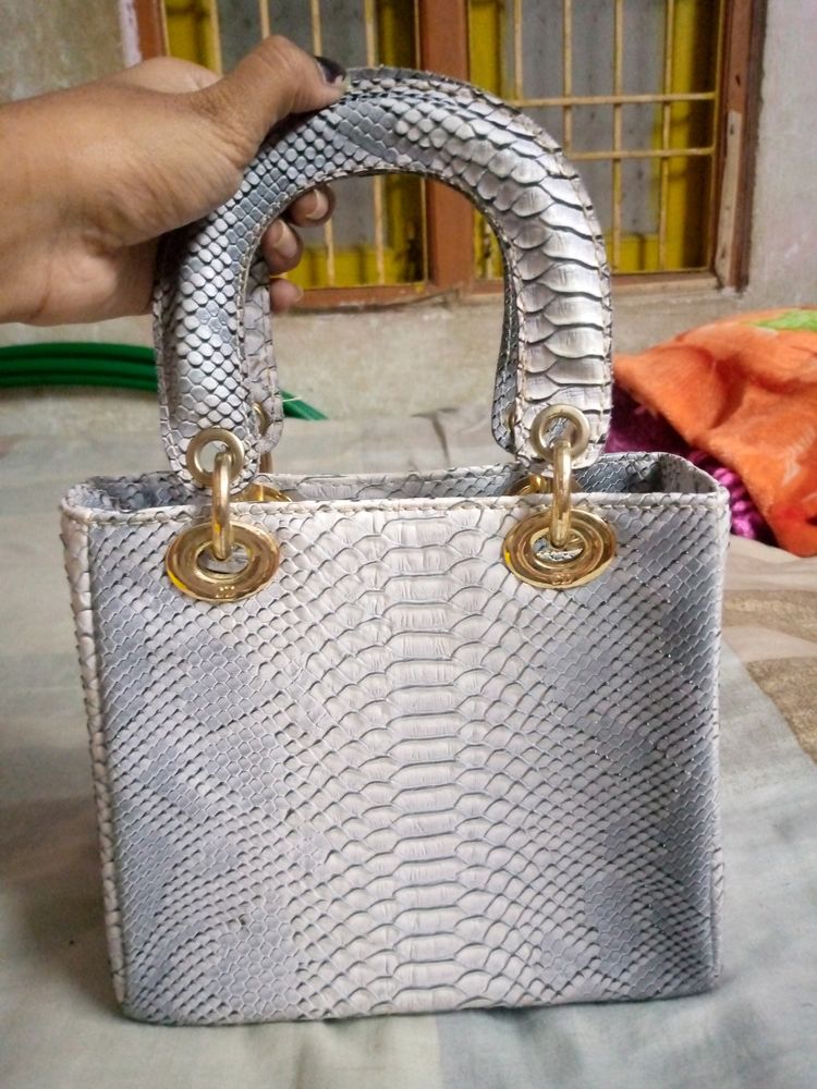 Dior Bag From Saudi Arabia