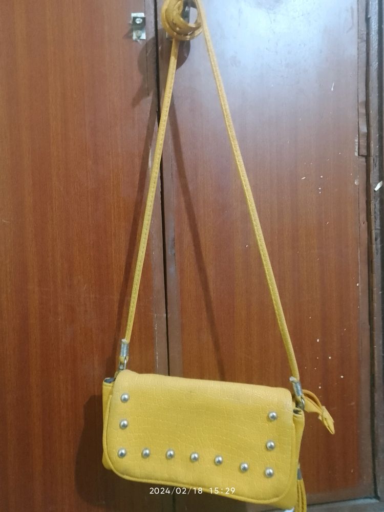 Mustard Color Purse