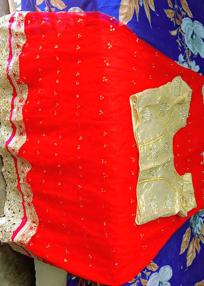 Brand New Lehenga With Blouse And Dupatta 😍😍😍