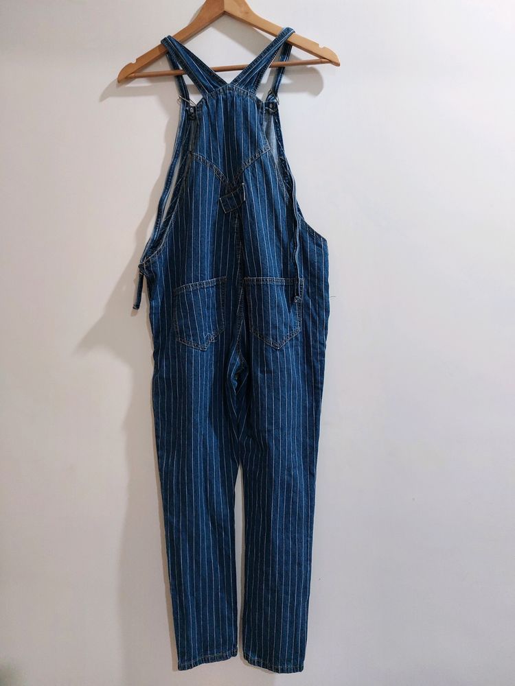 Denim Pinstripe Dungarees