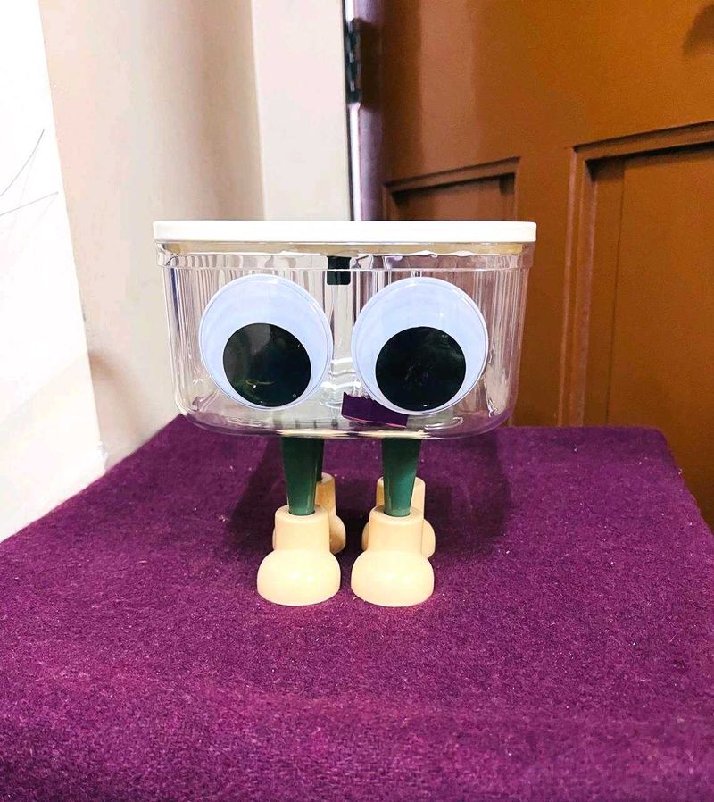 Googly Eyed Portable & Removable Desktop Bin