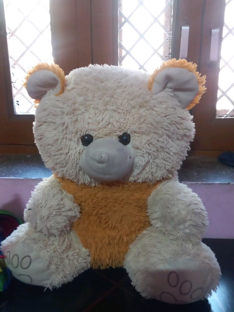 A Soft Teddy Bear For Kids