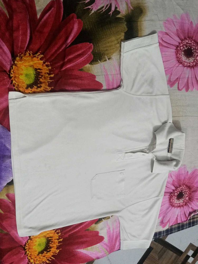 Polo T-shirt Used