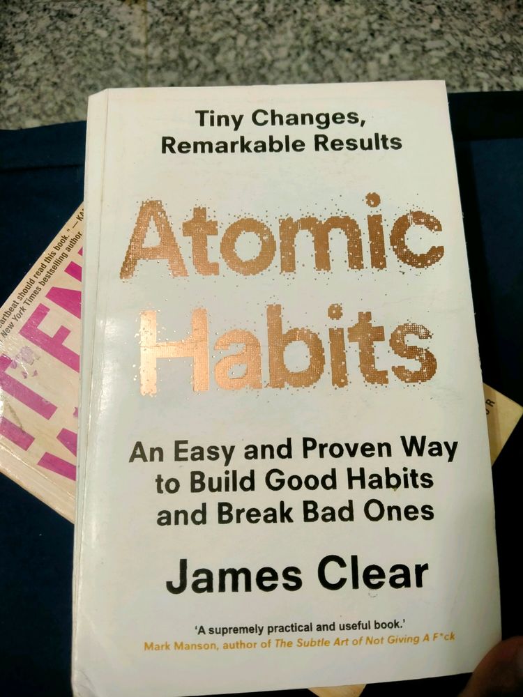 Atomic Habits Author (James Clear)