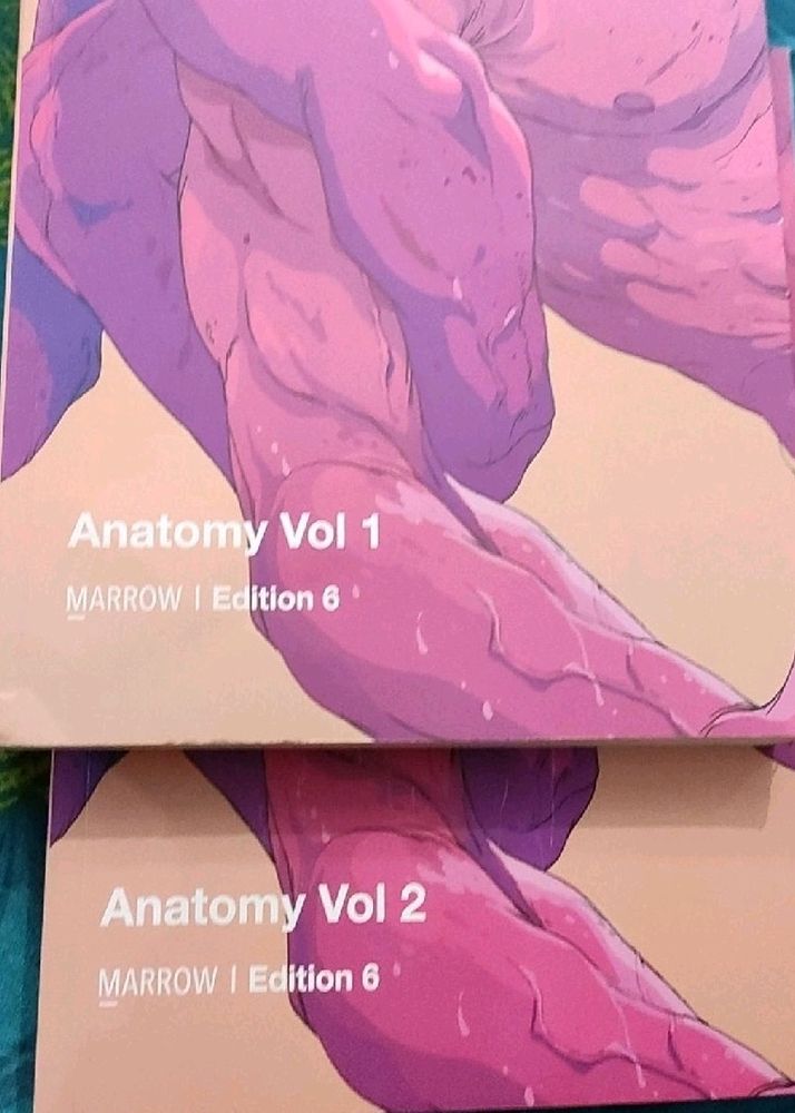 Anatomy marrow notes 6 ed