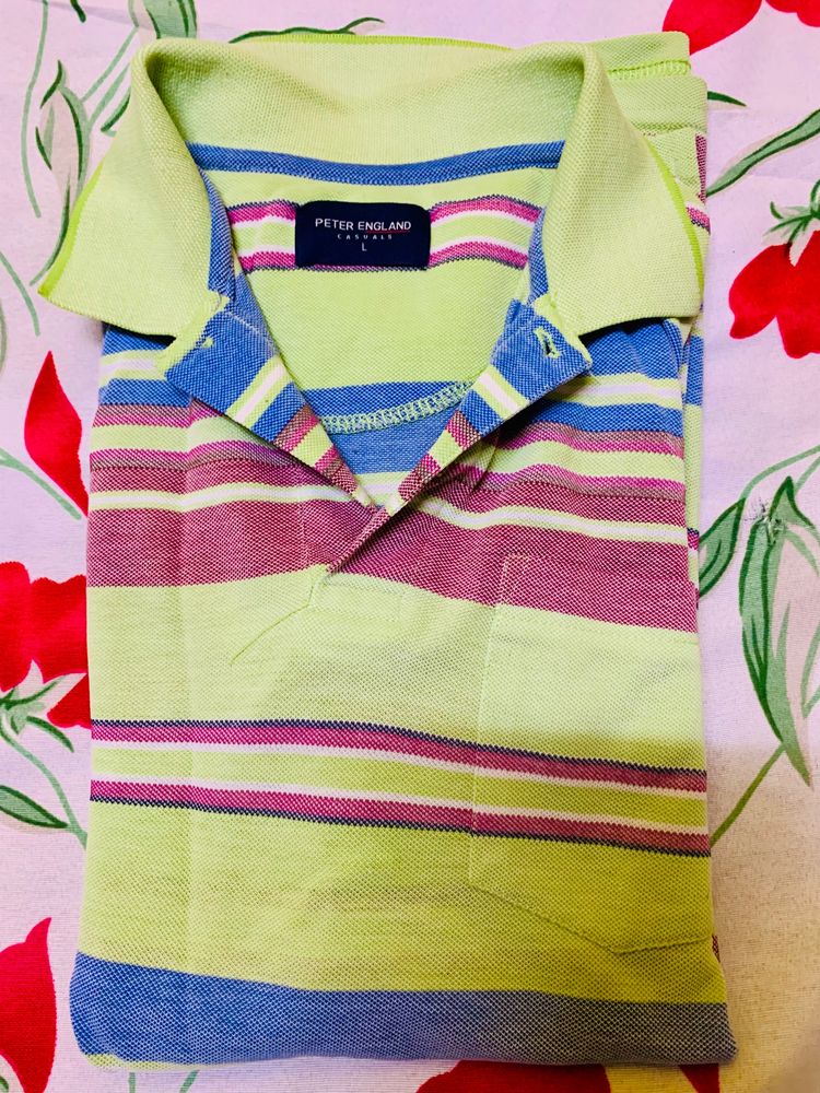 Parrot Colored MultiStripe Checked T-shirt