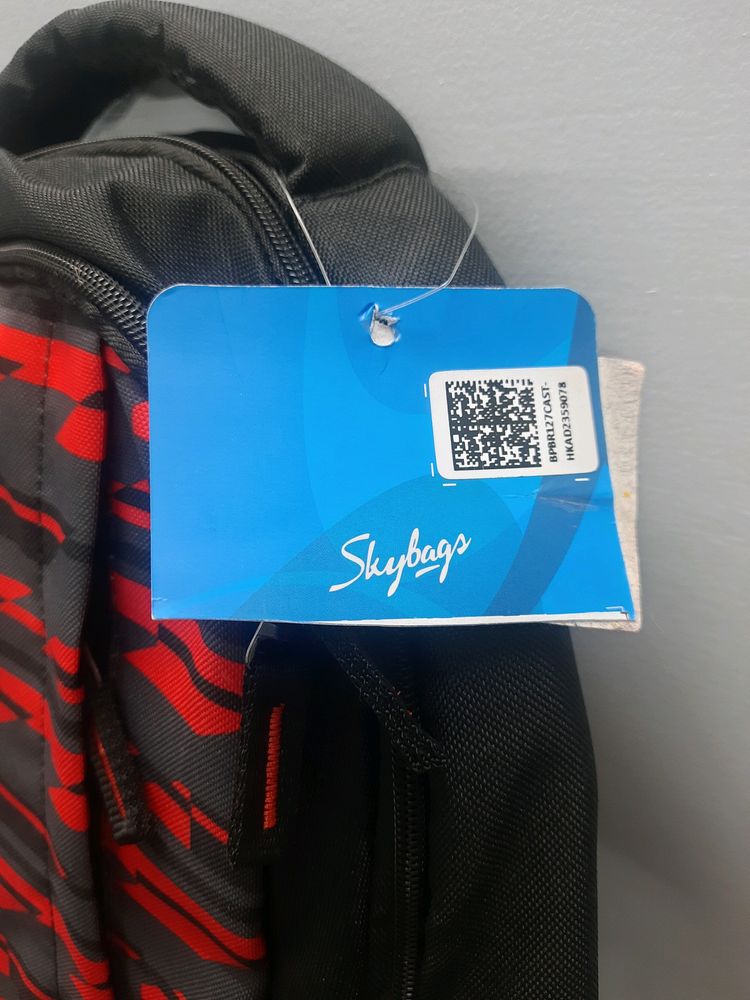 Skybags Backpack