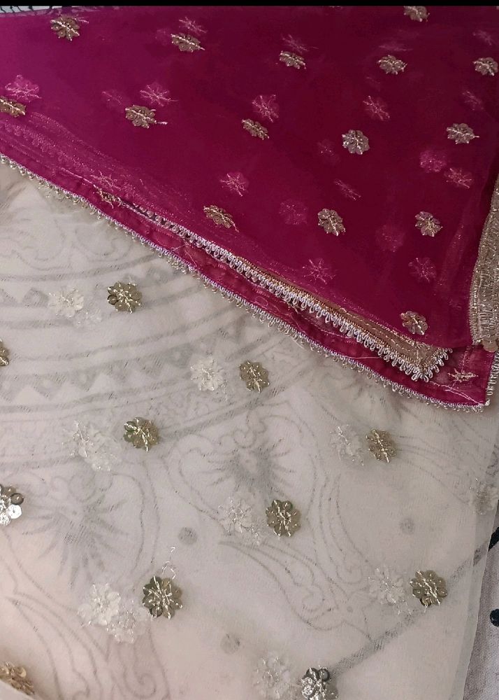 Sharara Suit