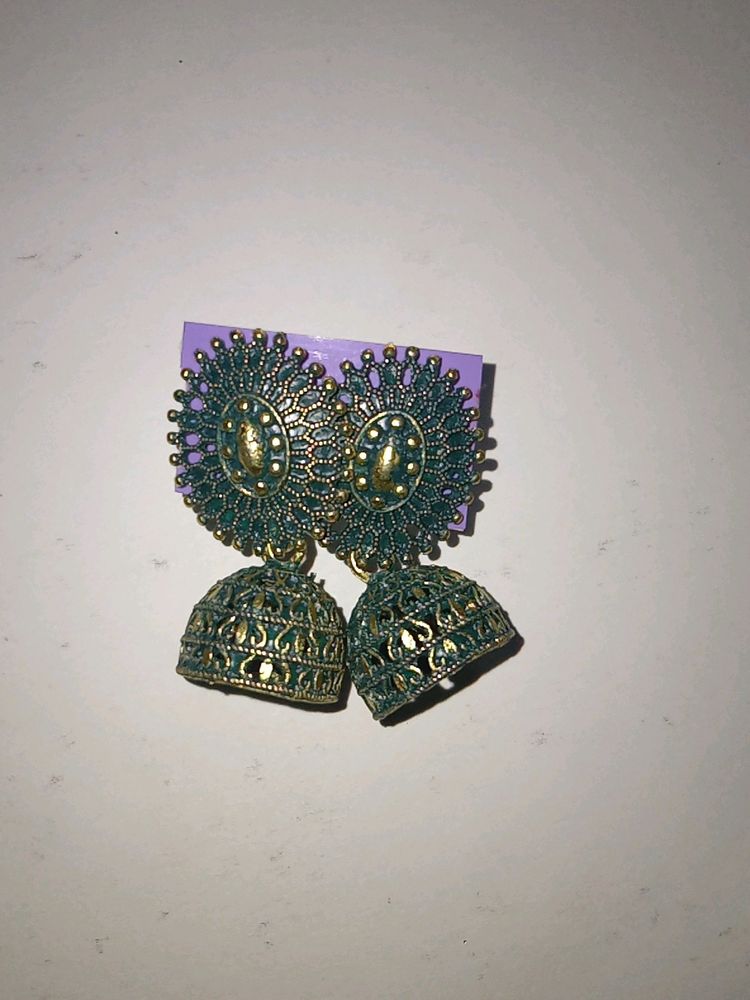 Hair Clip And Earring