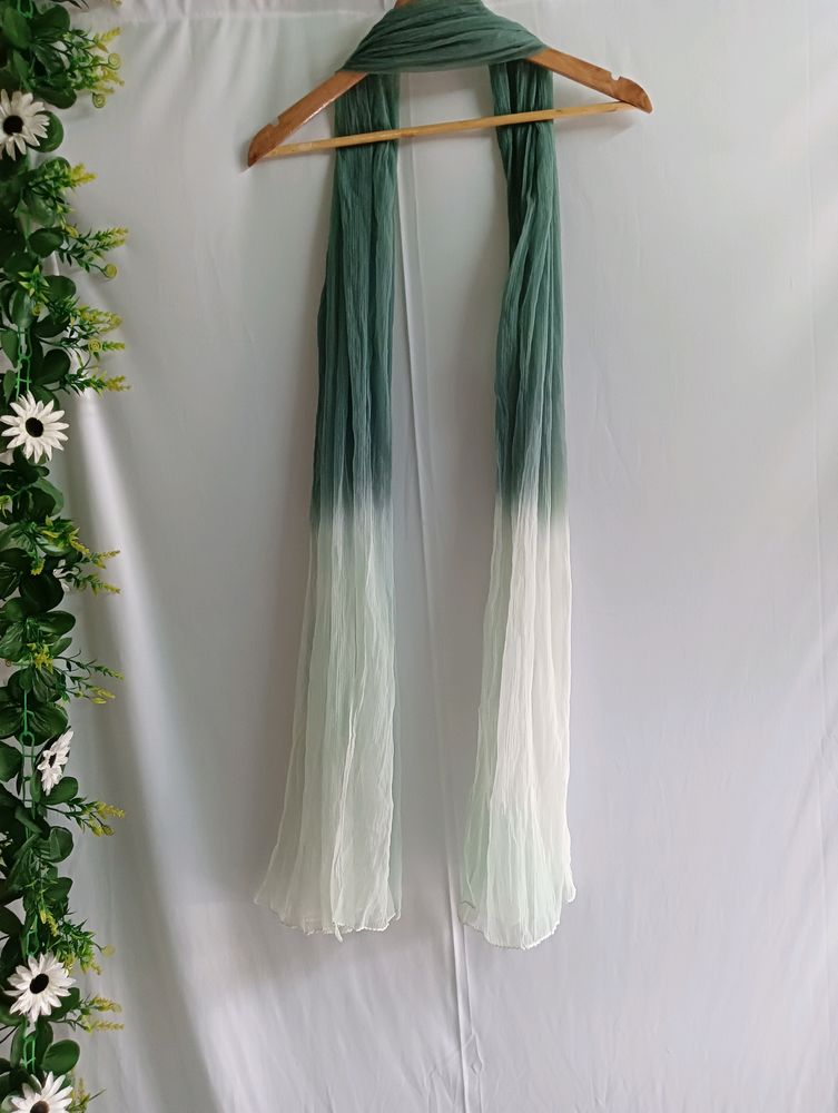 🎉SALE🎉White & Green Ombre Effect Dupatta