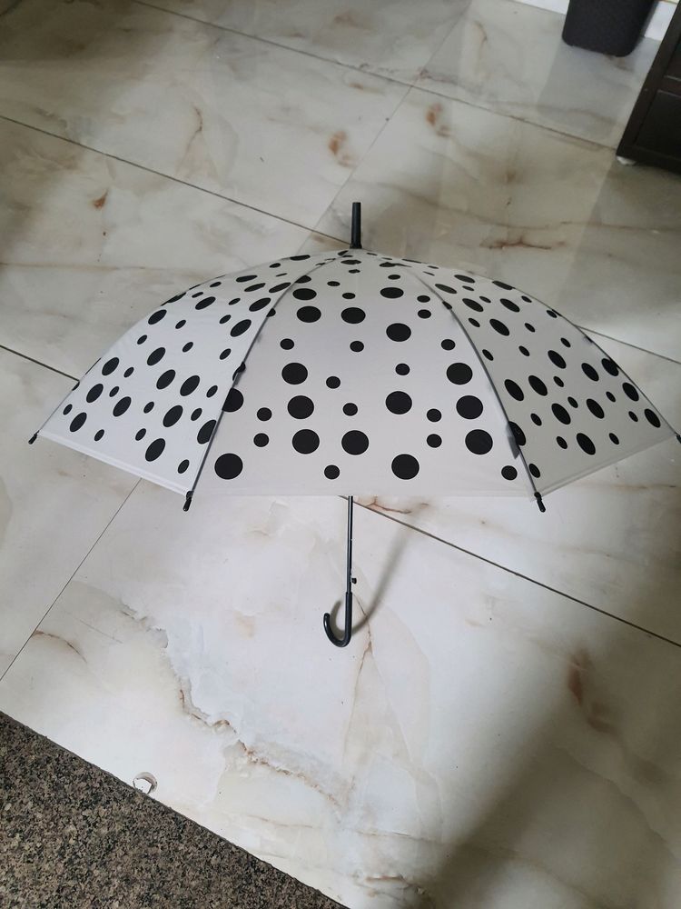 Umbrella...