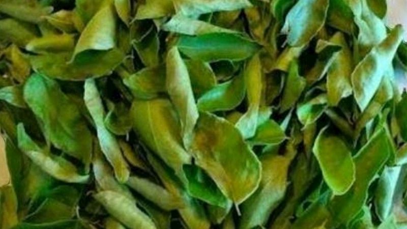 Dried Curry Leaves