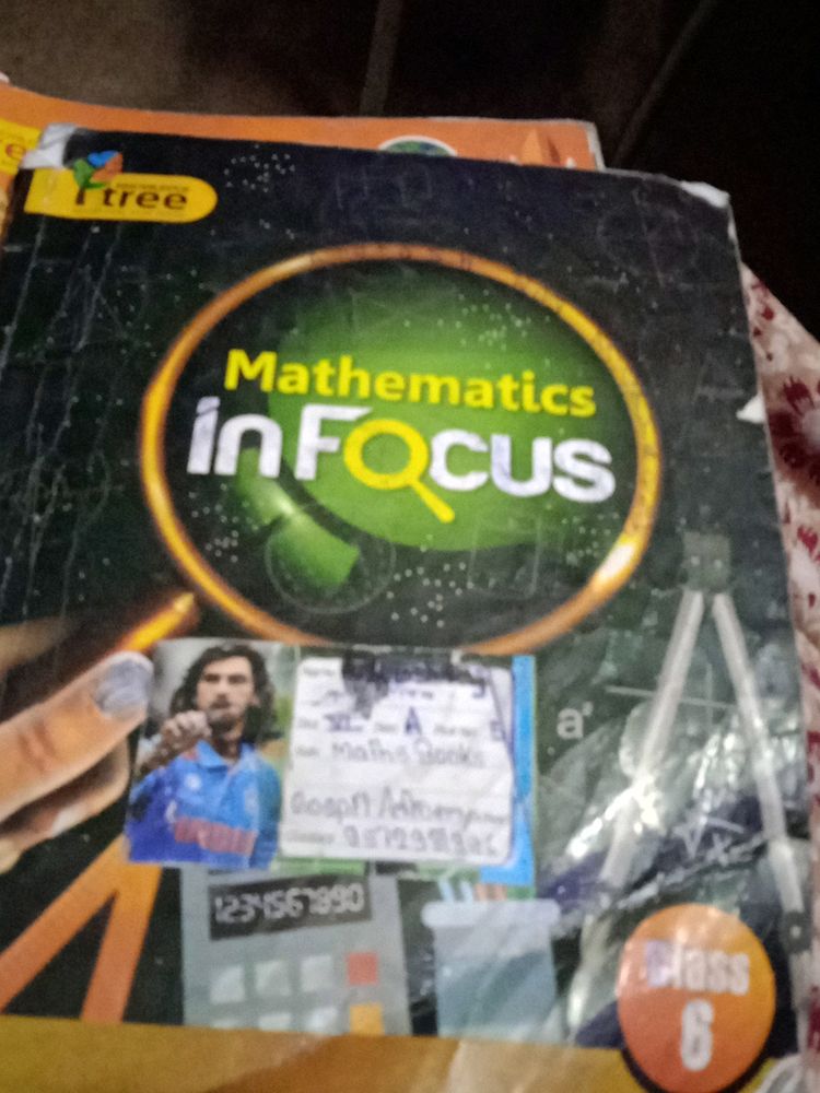 Mathematics Book Class6