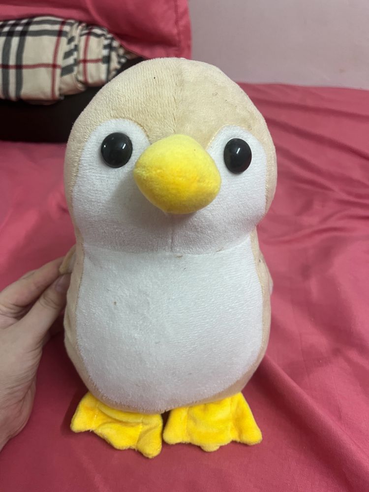 Cute Little Penguin