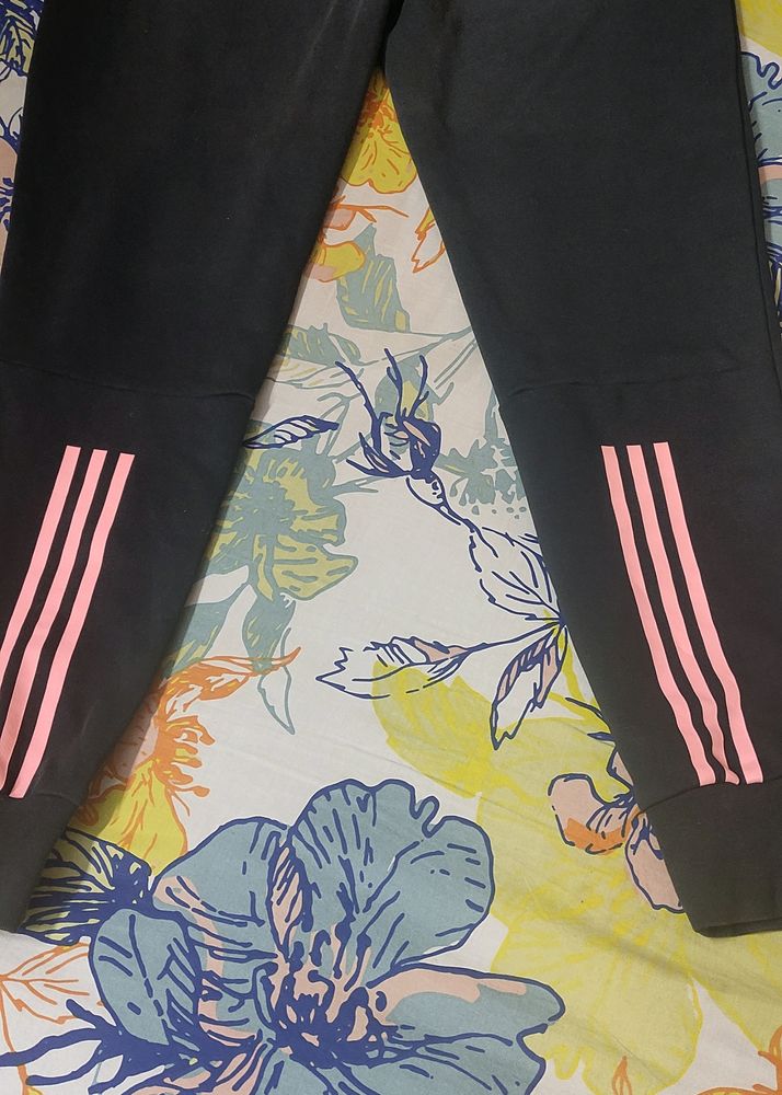 Adidas track pant ( Charcoal)