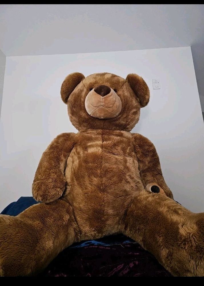 Brown Teddy Bear