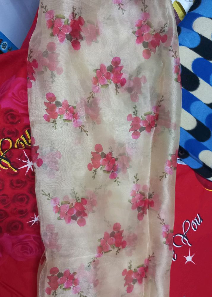 Its Not Used ,new Dupatta Of Arganza