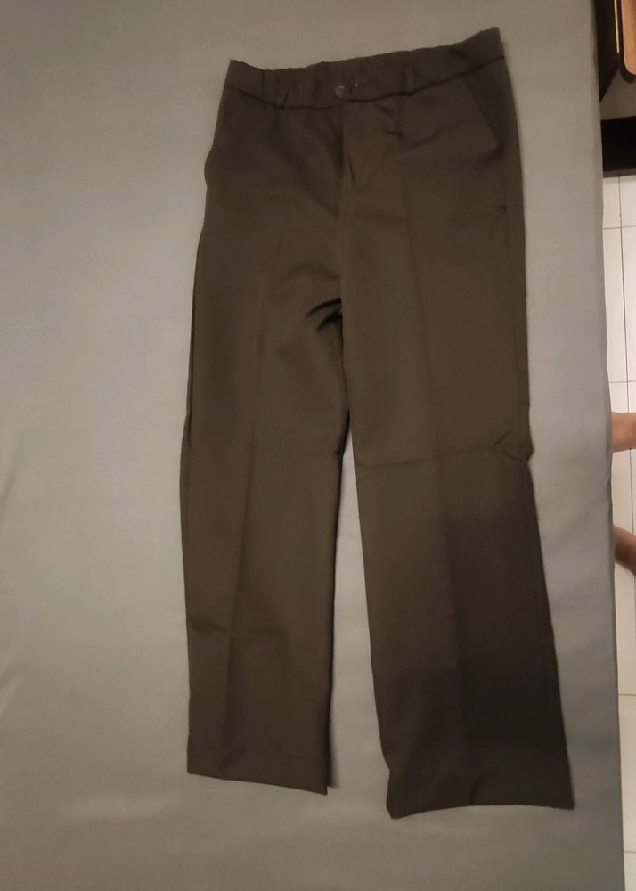 Brown Formal Trousers