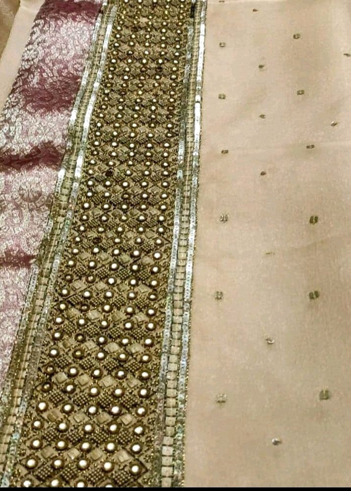 Beautiful Organza saree