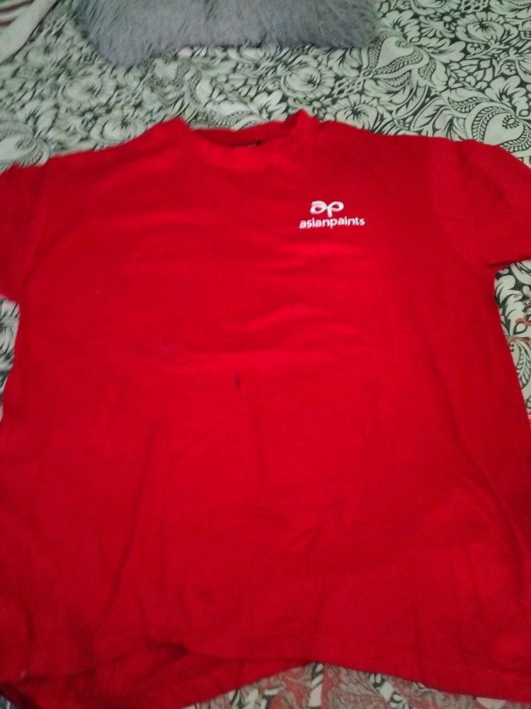 Asian Paints T Shirt Xl