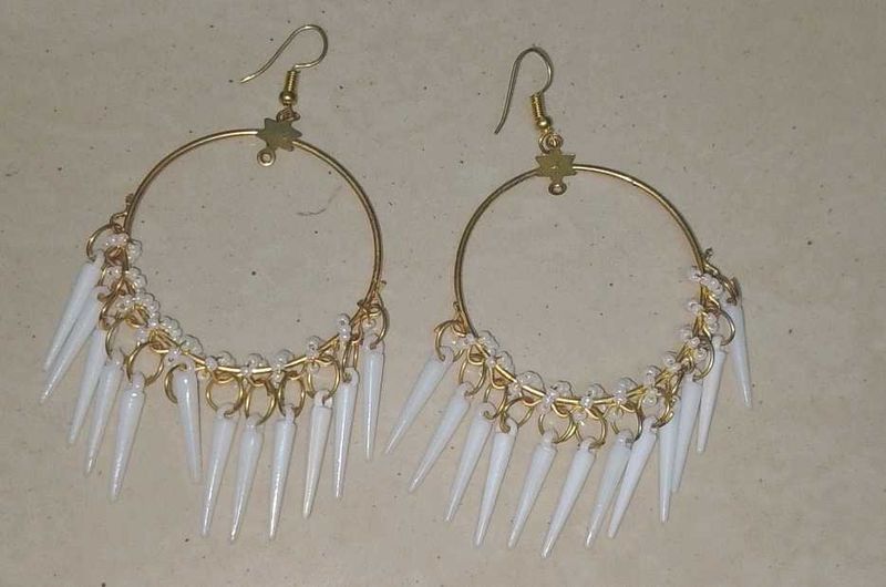 Earrings