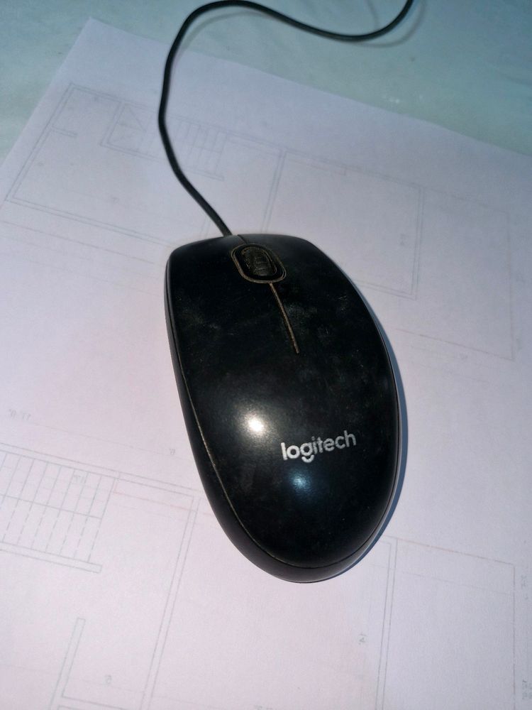 Mouse