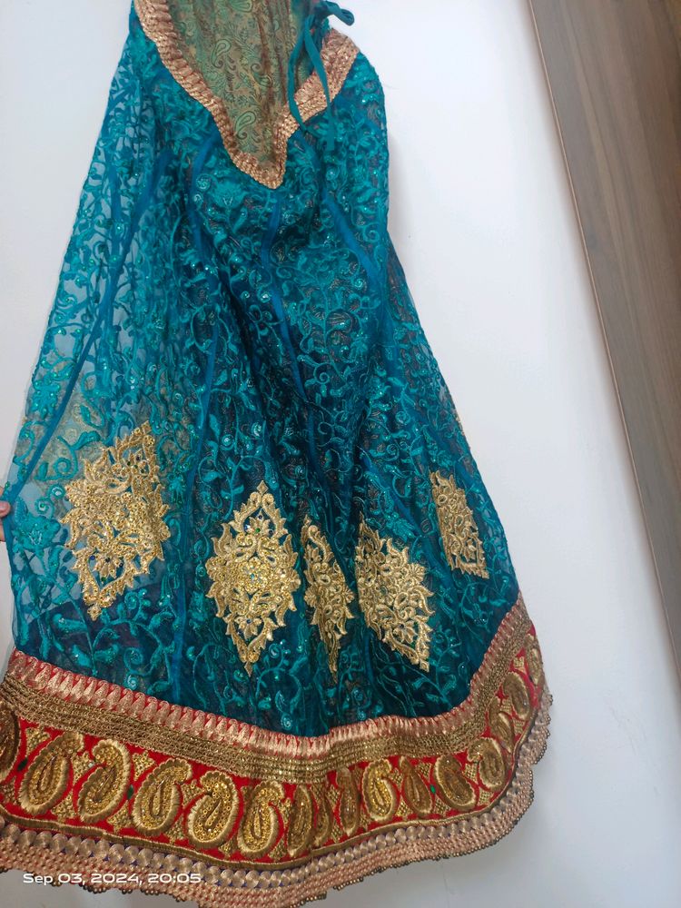 Beautiful Multi Coloured Lehenga