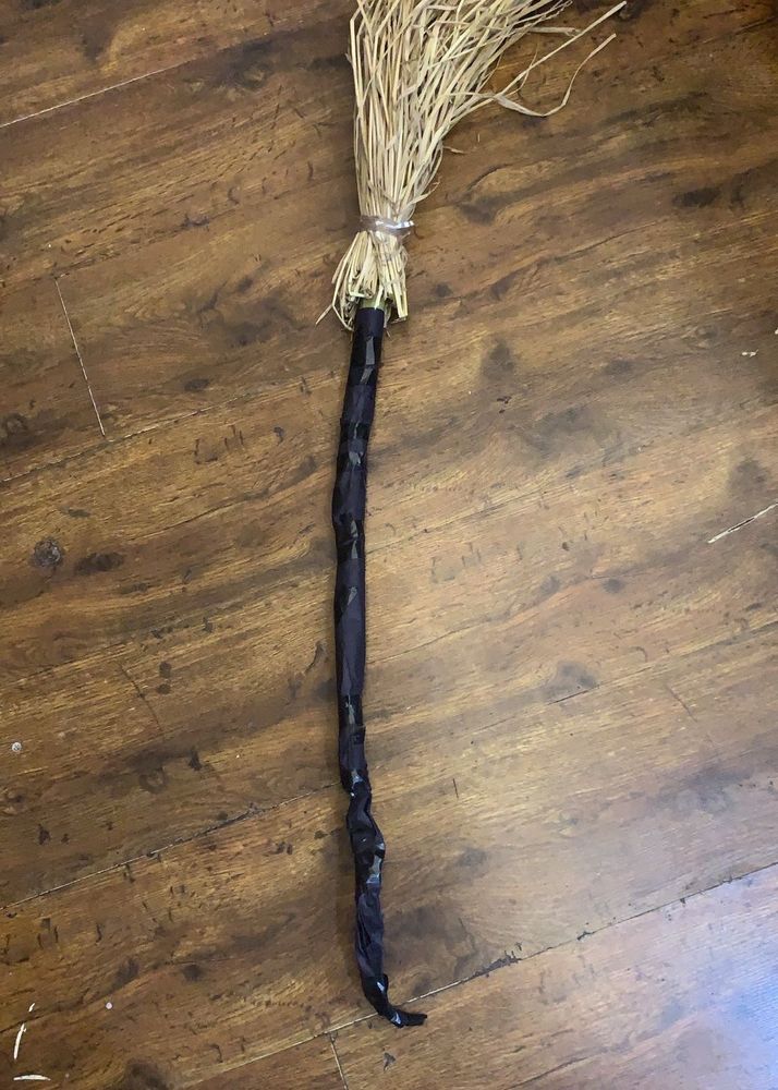 Halloween Broom