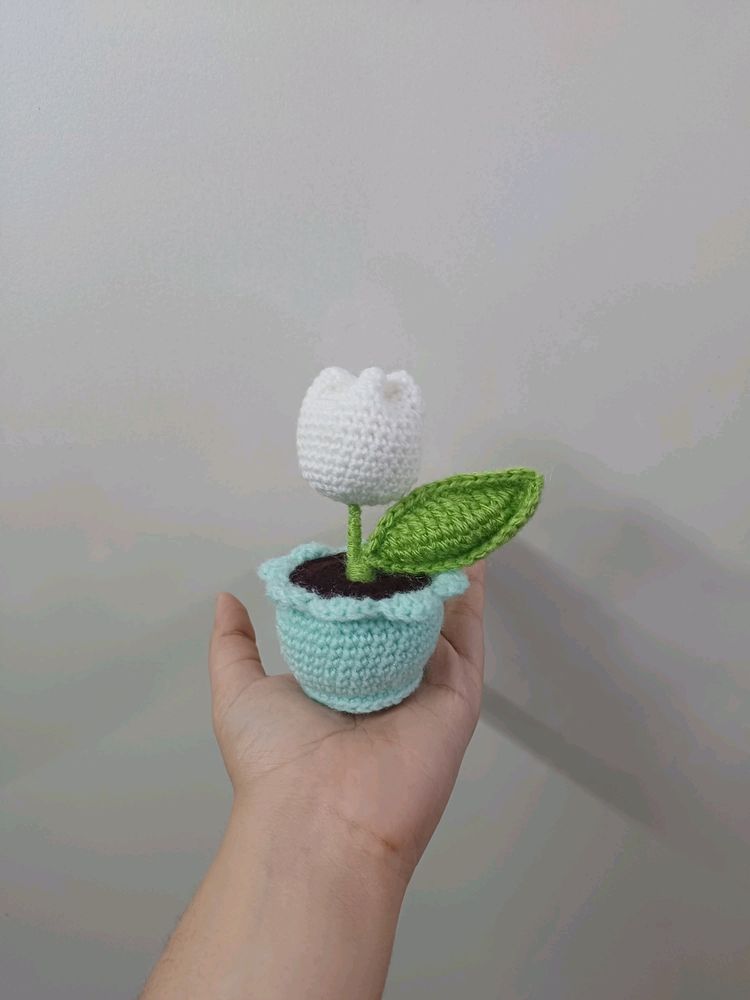 Cute Crochet Mini Flower Pot🌷