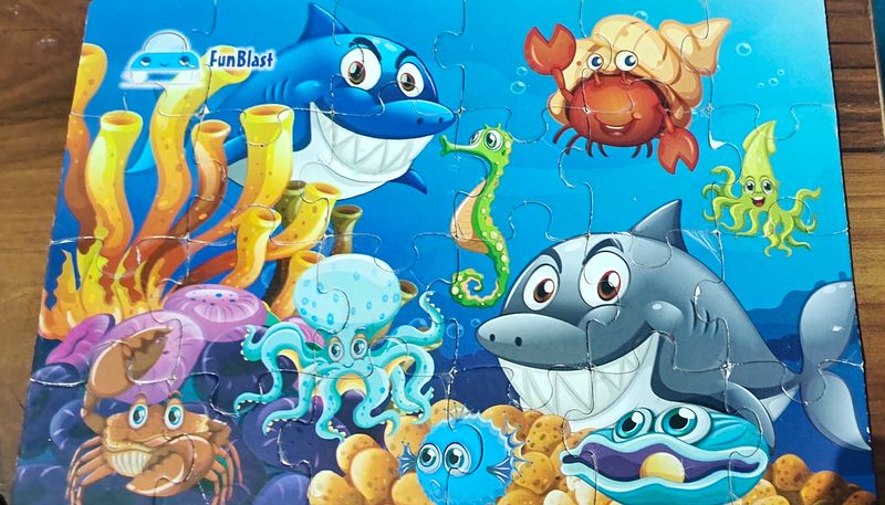 Toys - Aquatic Puzzles