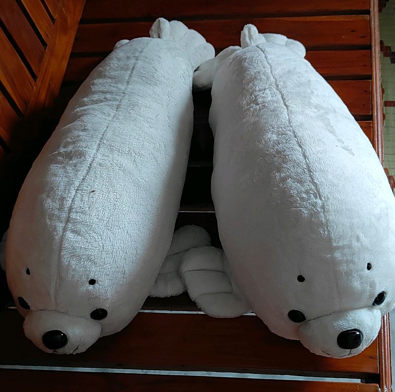 Combo Of Jumbo Seal 🦭 🦭 🦭 Pillow Plushies Doll