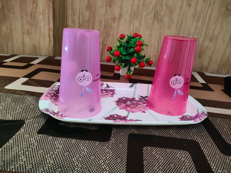 Reusable Plastic Glass Set Of 2