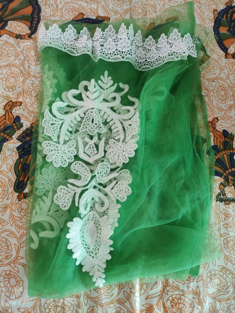 Green Net Embroidered Dupatta