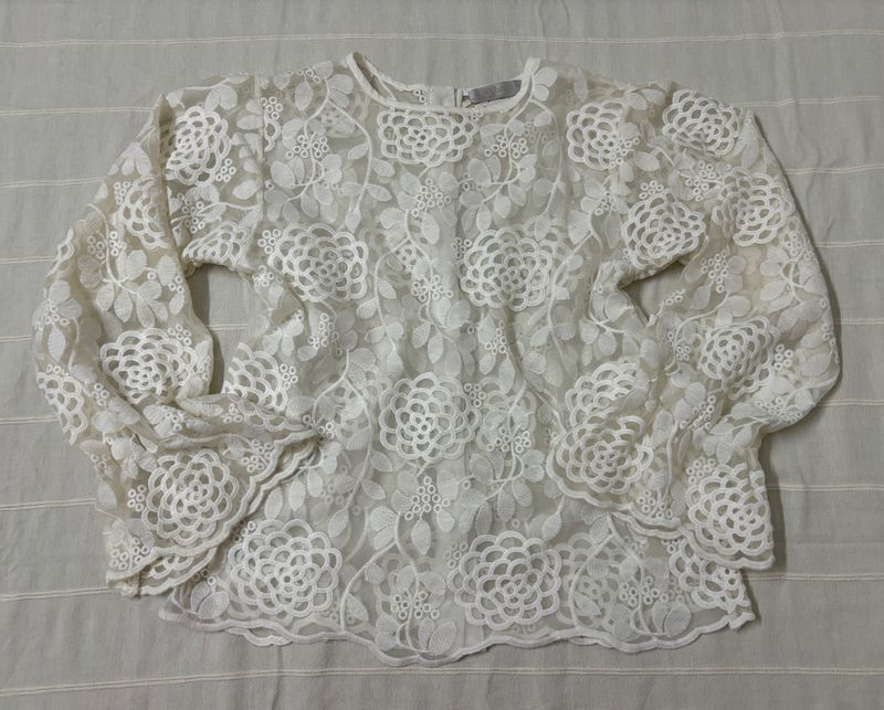 Korean Net Embroidered Top