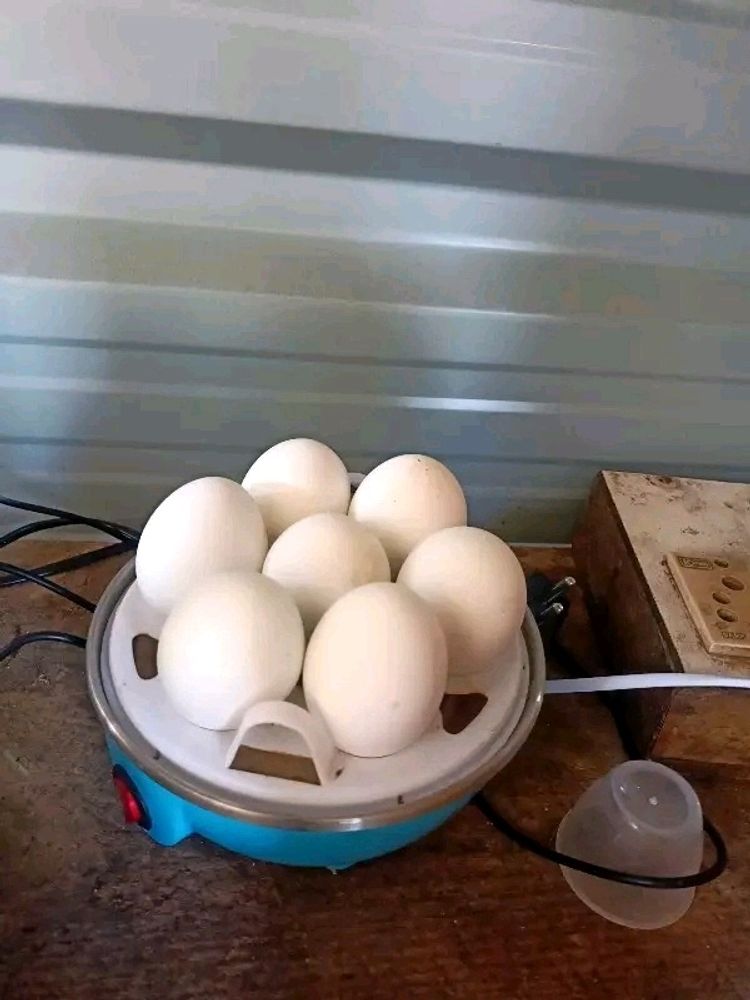 Egg Boiler Cooker