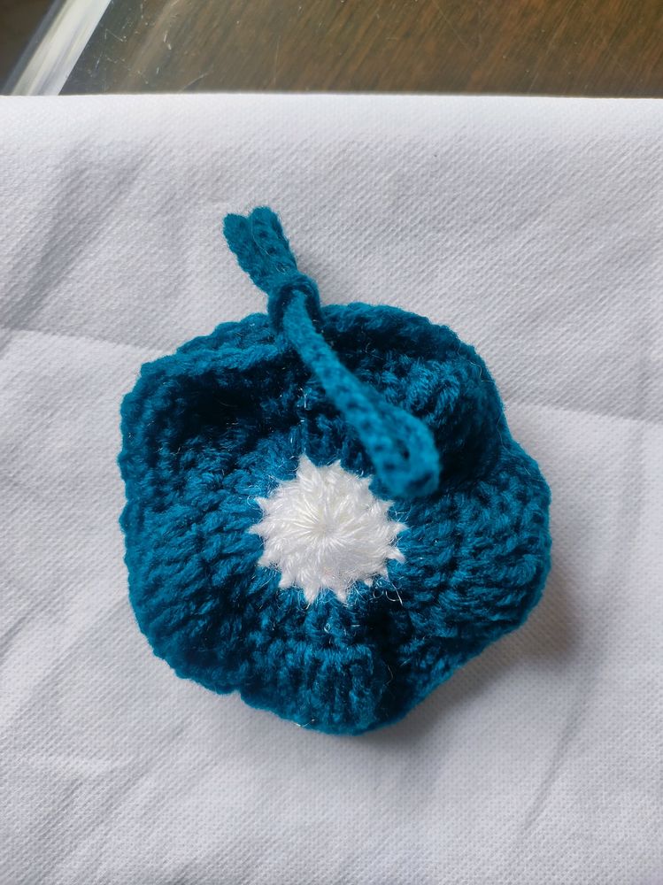 Cute Little EarPod/Coin Crochet Pouch