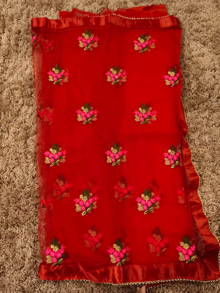 Red Colour Net Saree