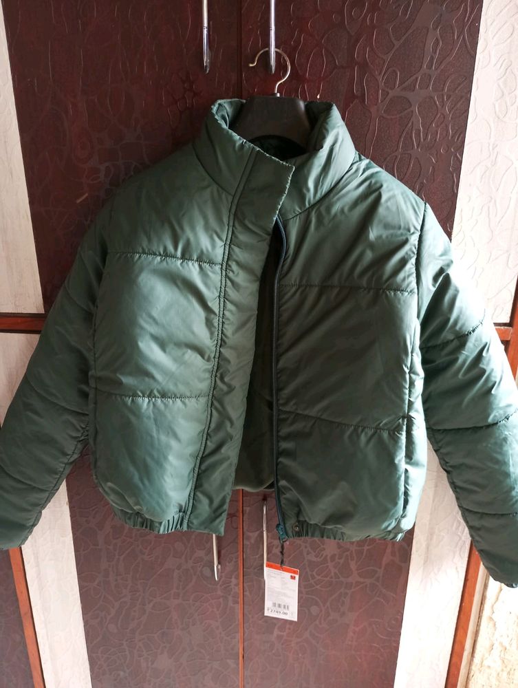 Olive Green Jacket