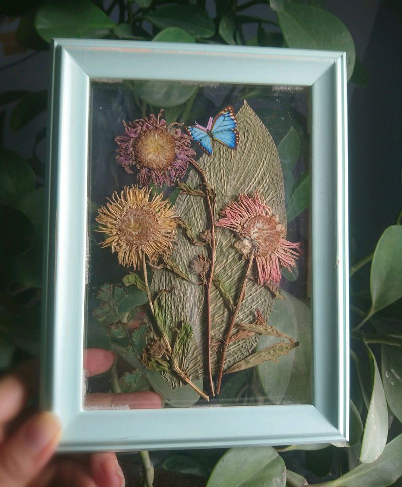 Handmade framed hanging dry Pressed Flower