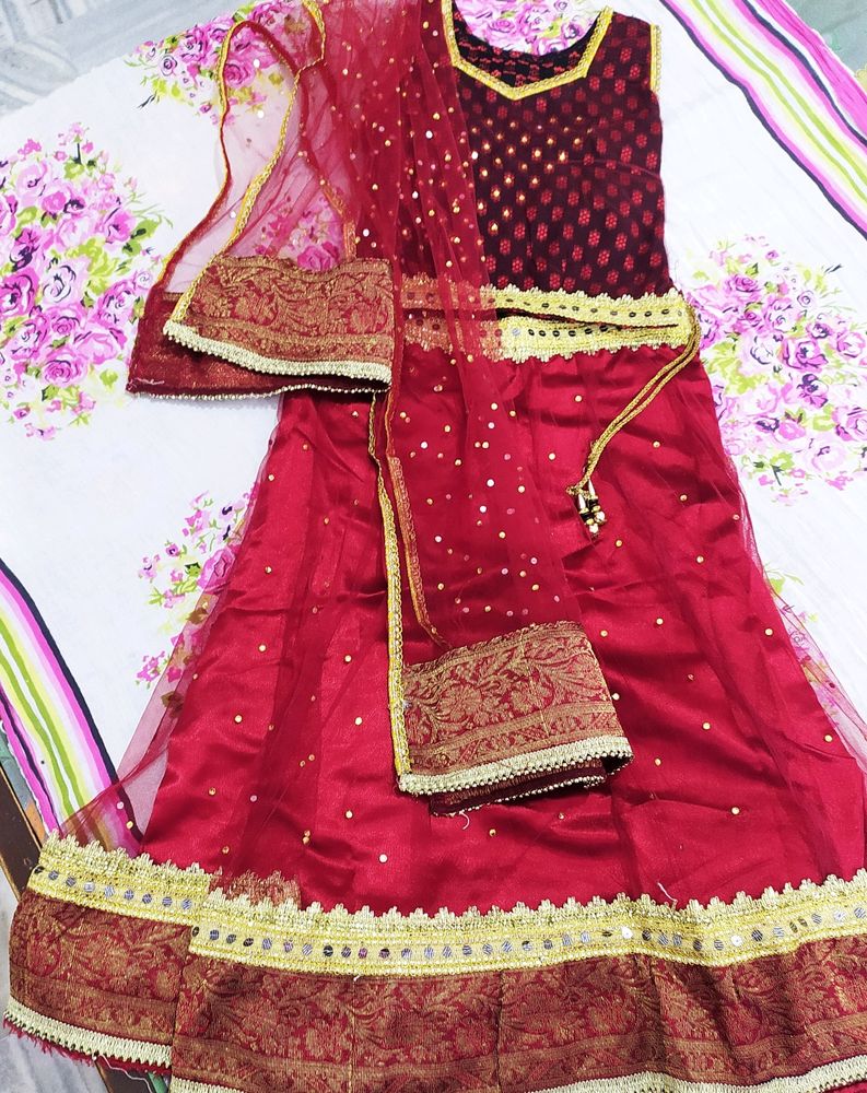 Lovely Party Wear Lehenga