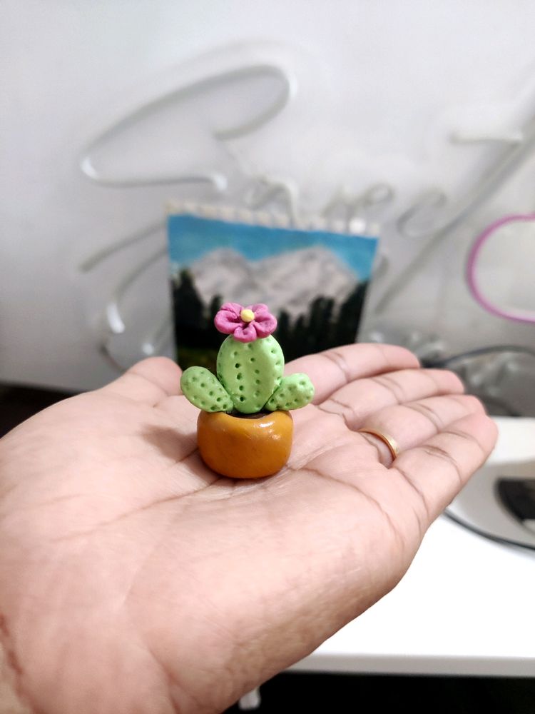 Mini Cactus Plant